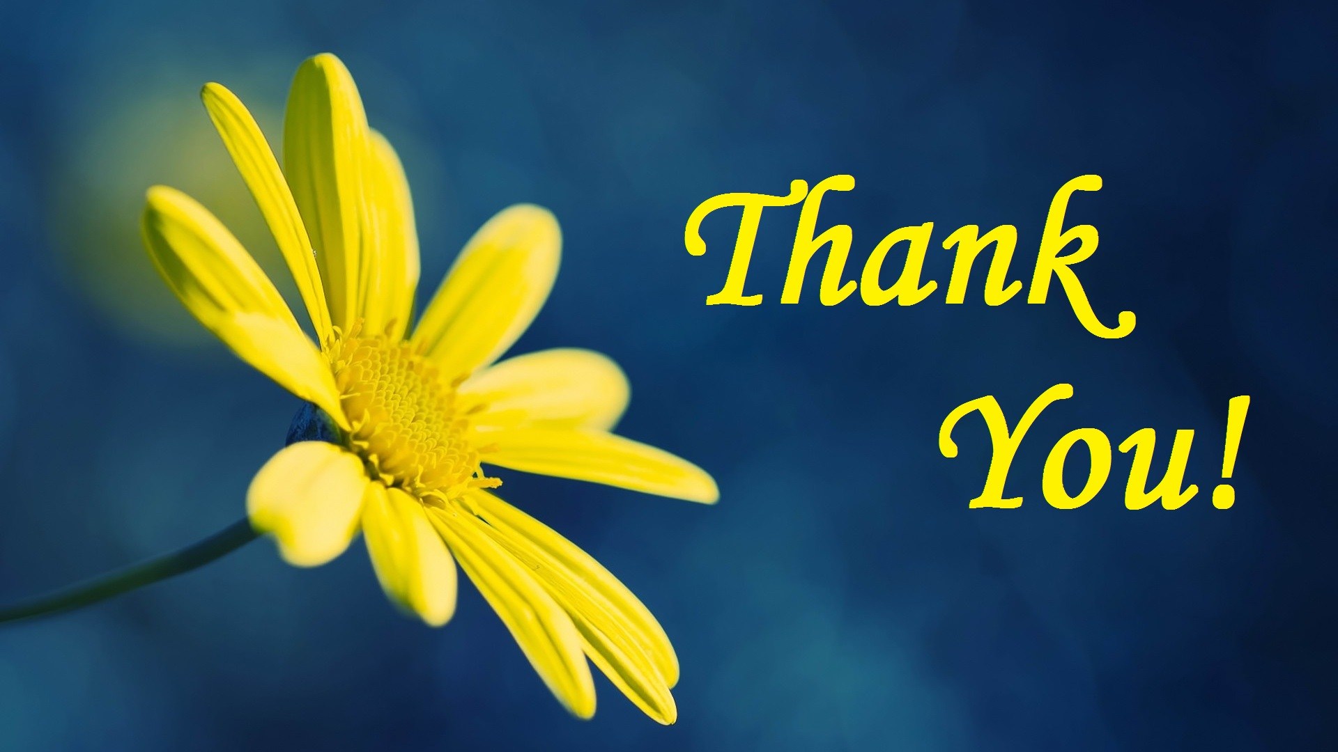 Thank You Wallpaper HD Posted By Sarah Tremblay