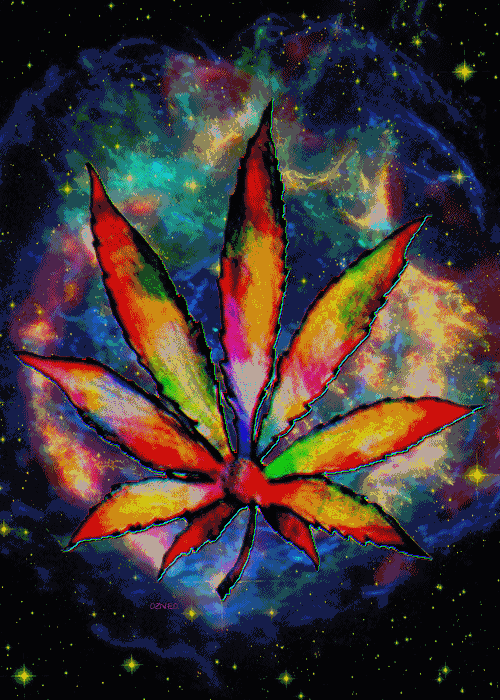 Free download gif LOL funny gifs trippy rainbow Cool dope hilarious weed  smoke lsd [500x700] for your Desktop, Mobile & Tablet | Explore 50+ Trippy  Weed Wallpaper | Wallpaper Trippy, Trippy Backgrounds, Trippy Wallpapers