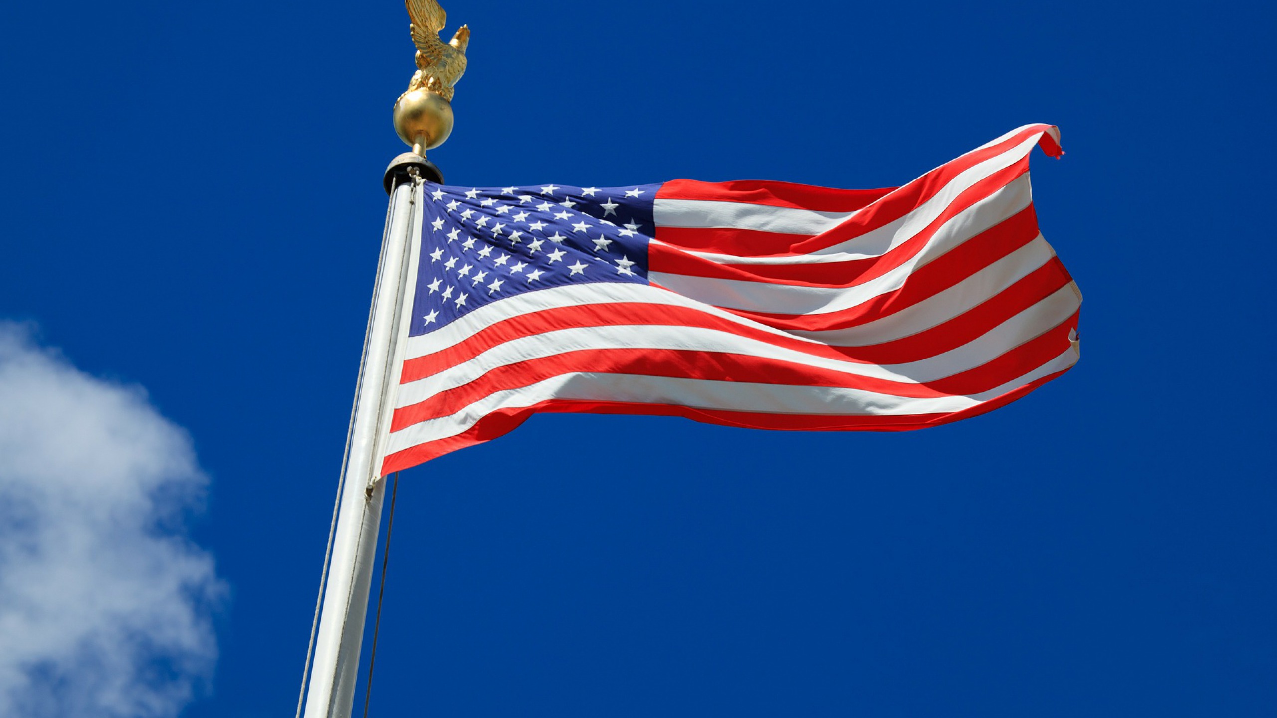 Wallpaper Of The Day US Flag   Common Sense Evaluation