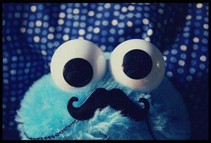 Cookie Monster Picture By Rachelle Shih Inspiring Photo