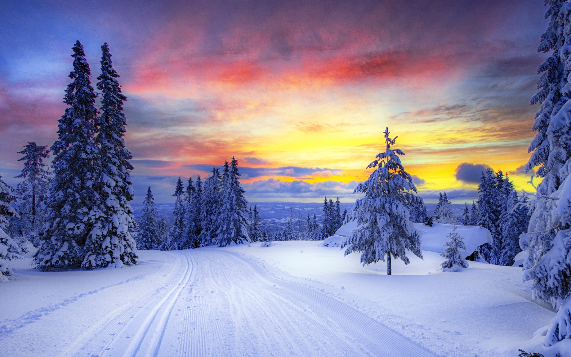 Winter Trees Snowy Road Sunset Wallpaper