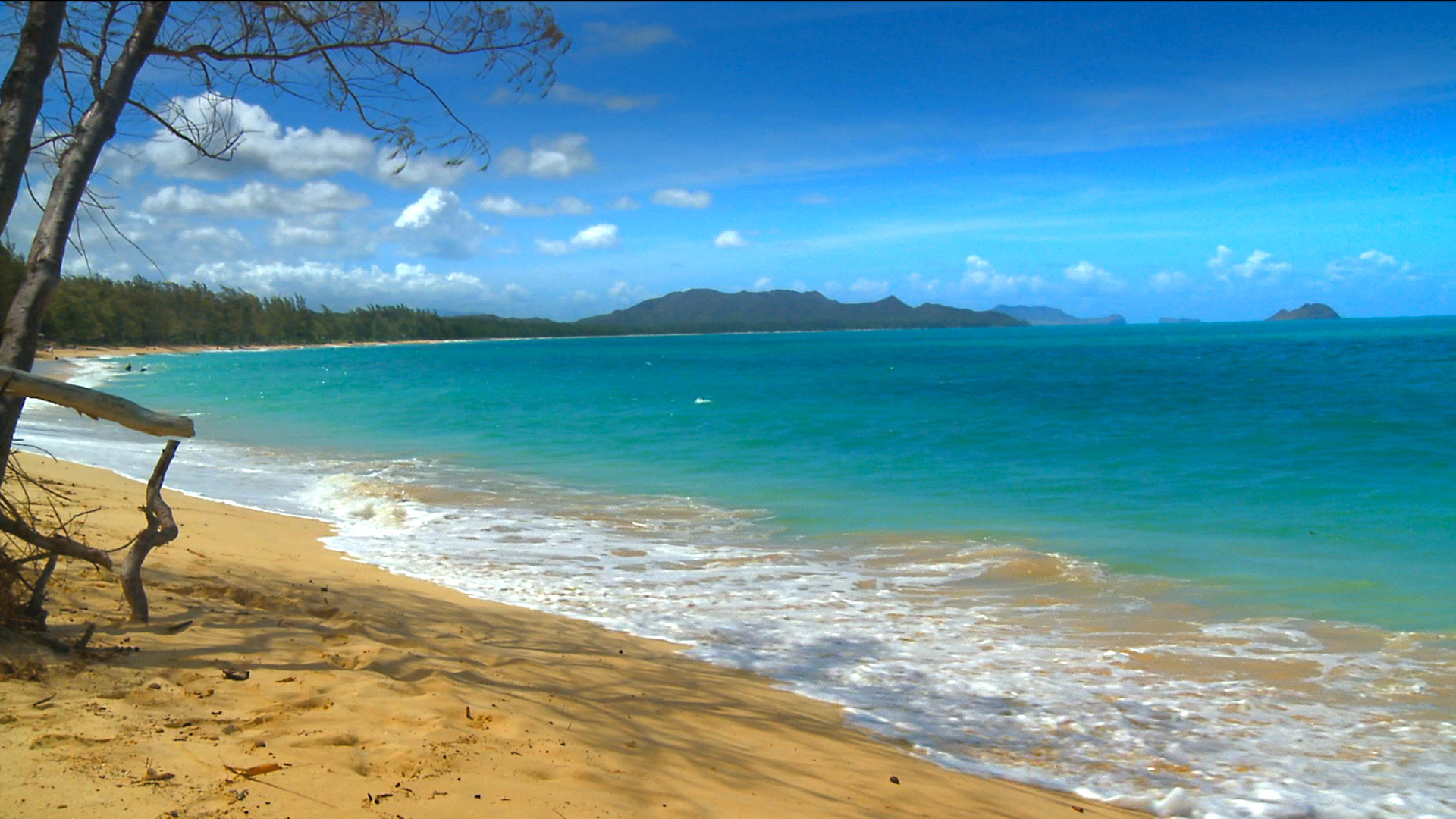 Hawaii Beaches Photos Of