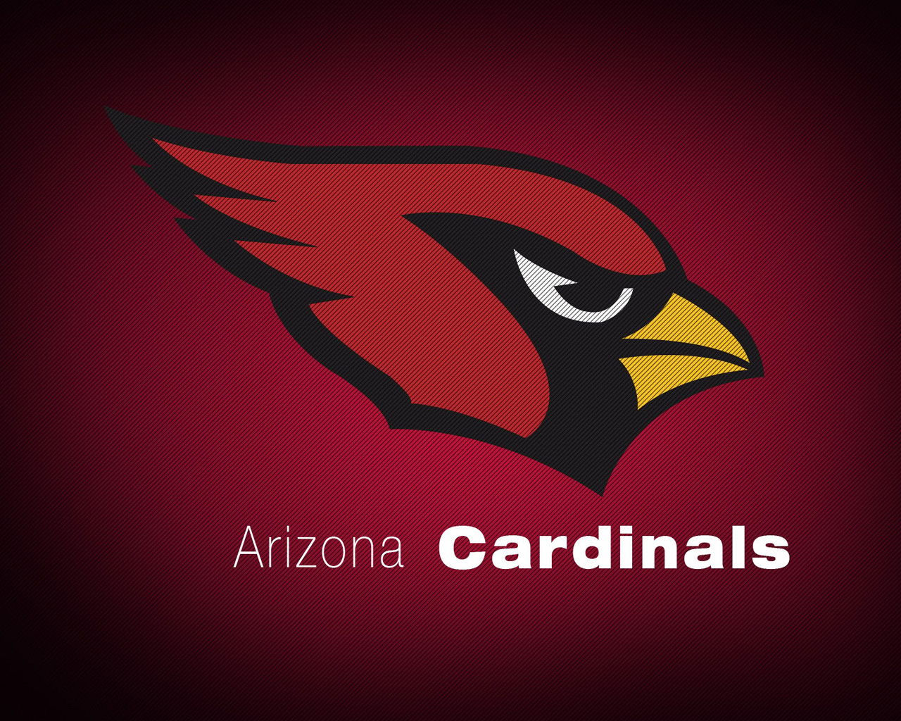 Nfl Arizona Cardinals Nafissatou Diallo