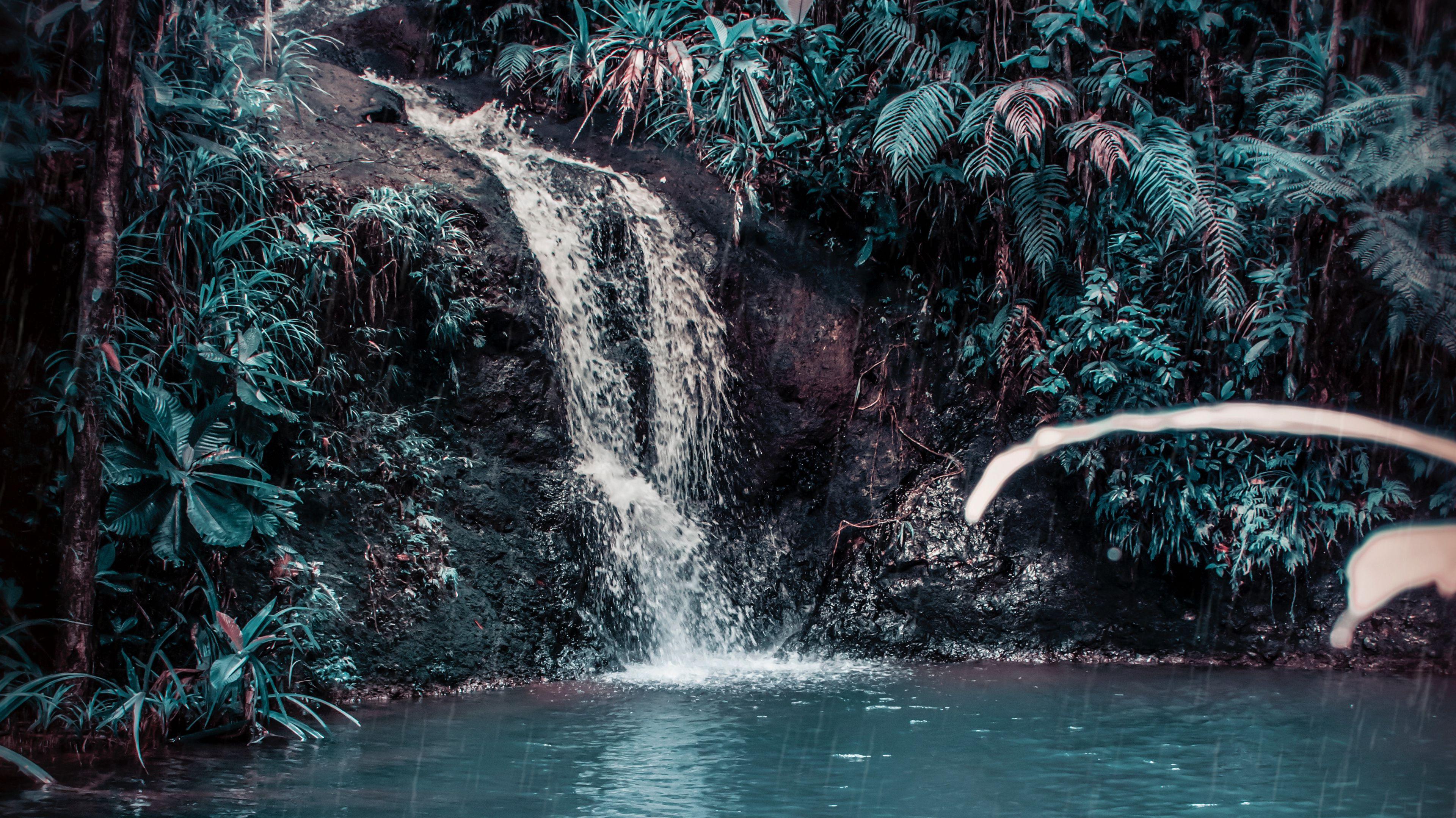 Wallpaper Waterfall Stream Forest Jungle