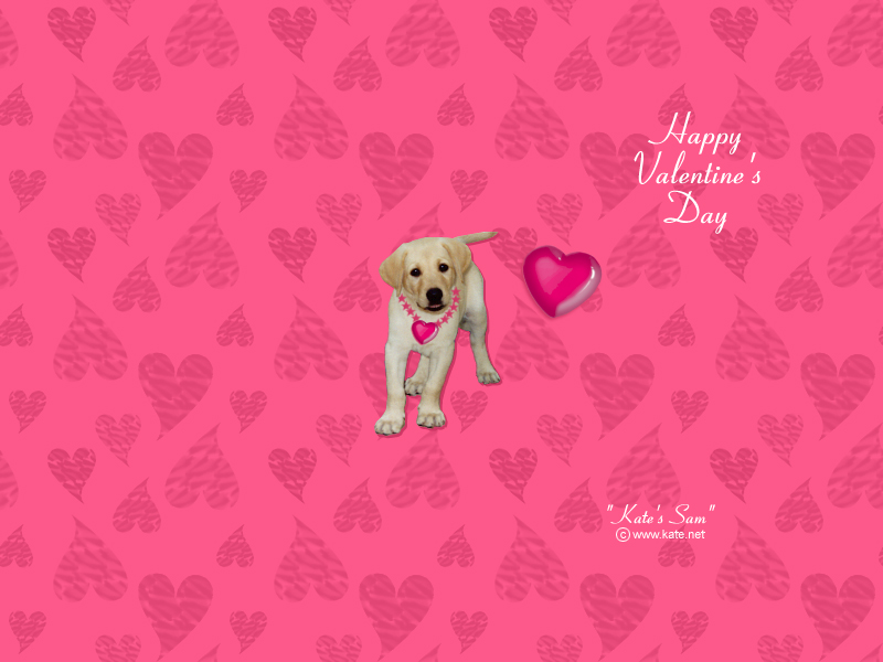 Valentine S Day Wallpaper Desktop Background By Kate
