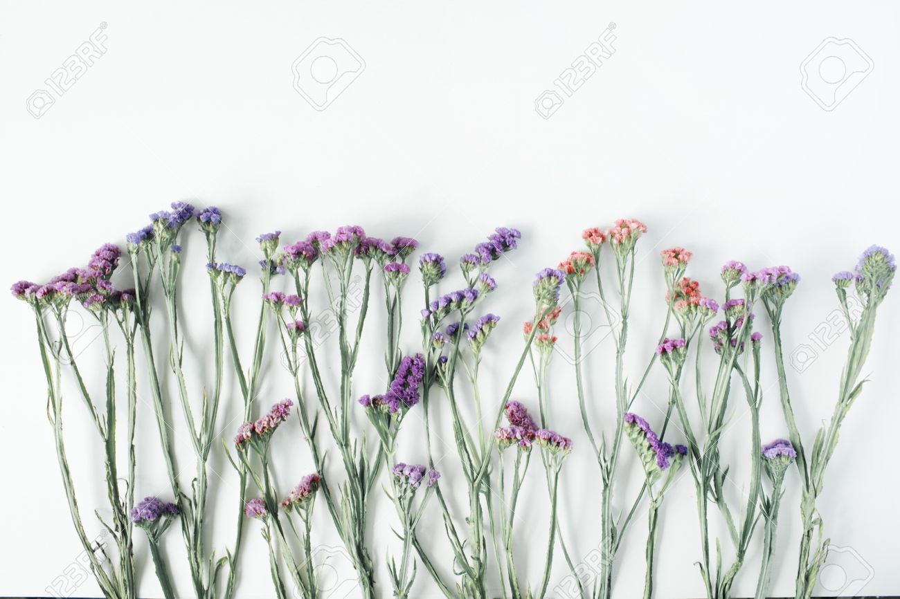 Dried Flowers On White Background Autumn Flat Lay Wallpaper Top