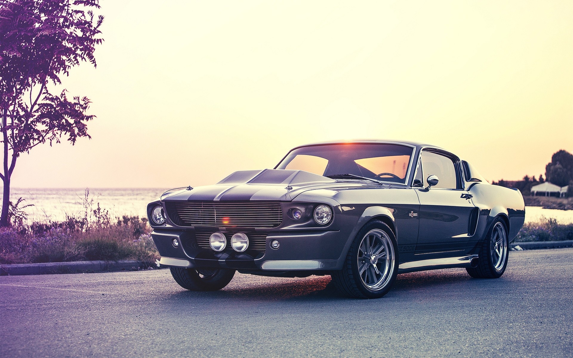 Download wallpaper 1280x2120 front, ford mustang, muscle car, iphone 6  plus, 1280x2120 hd background, 7547
