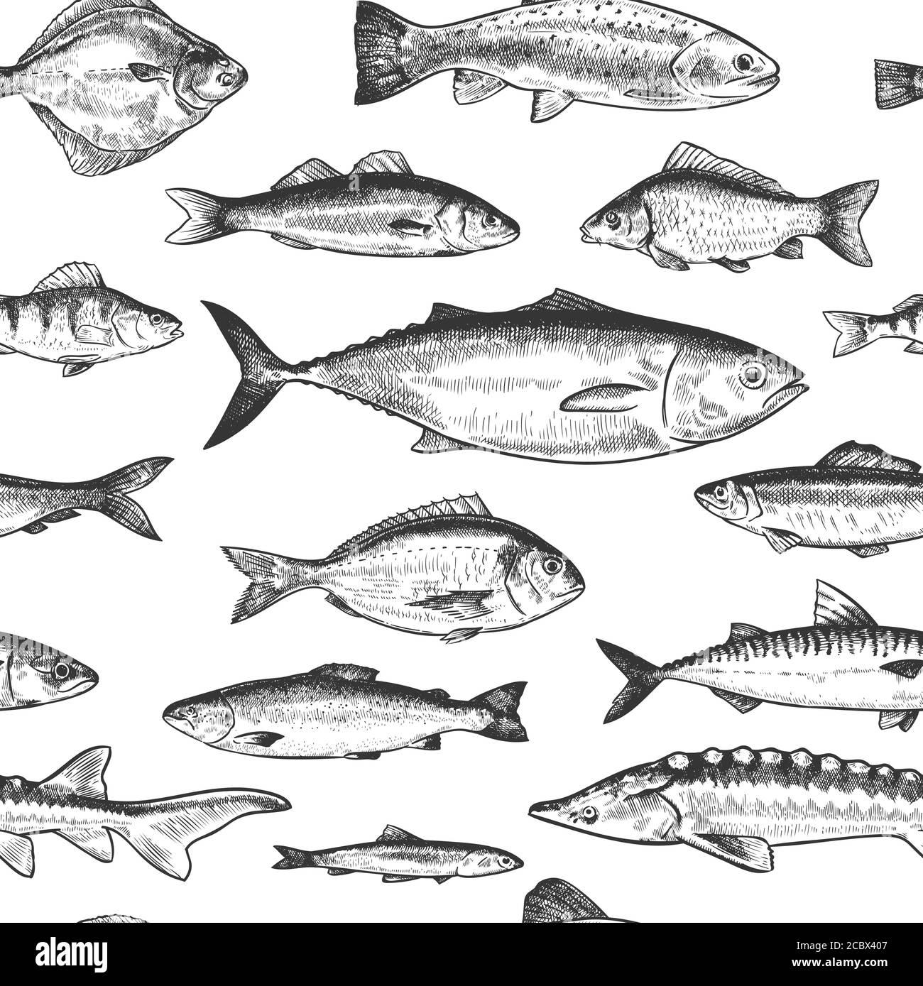 🔥 Free download Fish seamless pattern Hand drawn different sea and ...