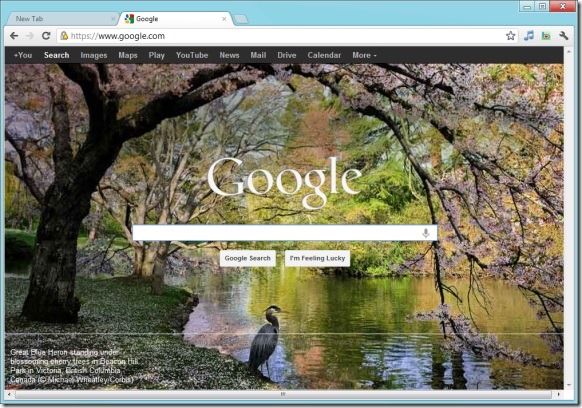 Even Automatically Set Bing Wallpaper As Desktop Background