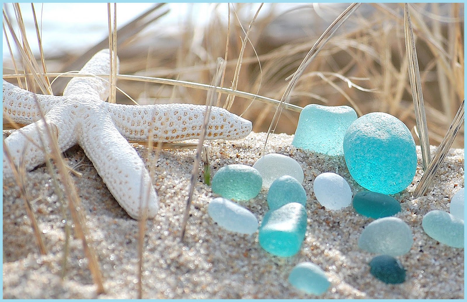 Sea Glass Pictures  Download Free Images on Unsplash