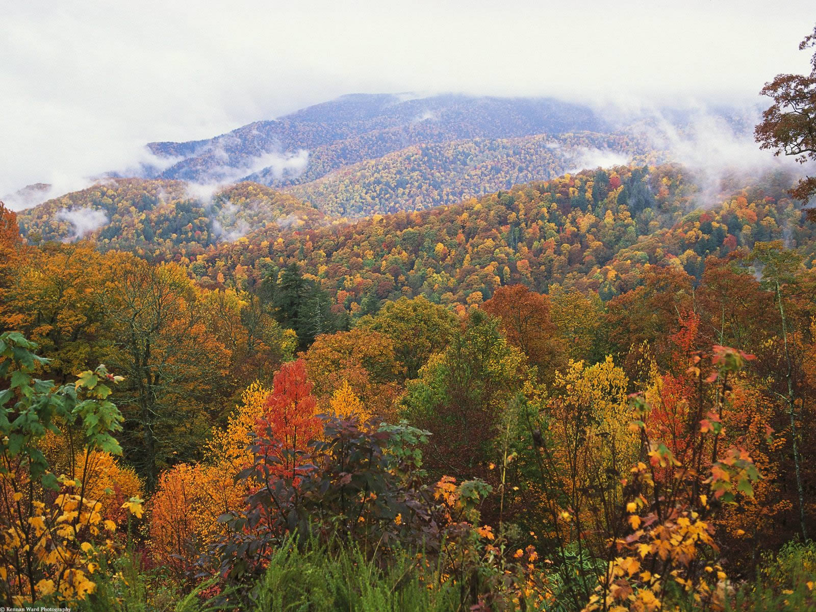 Lush Landscape Appalachian Mountains North Carolina Autumn Wallpaper