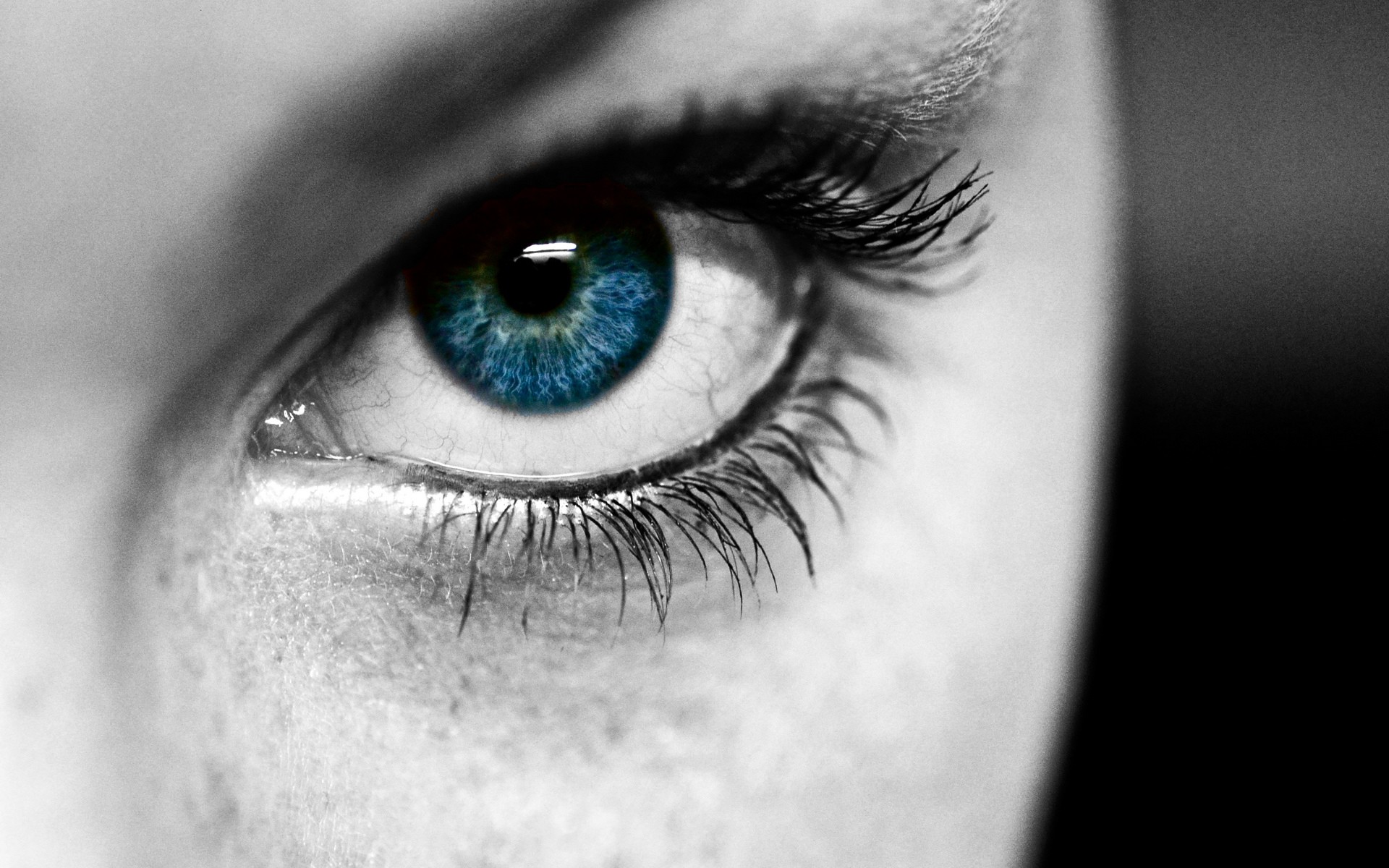 Eye Full HD Wallpaper And Image