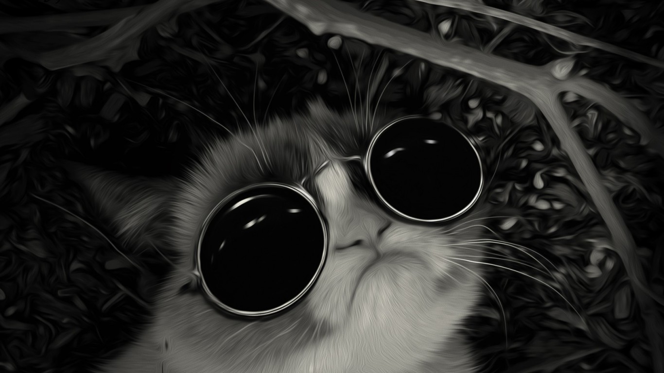  cat with sunglasses on that I can find Want to really know how to be