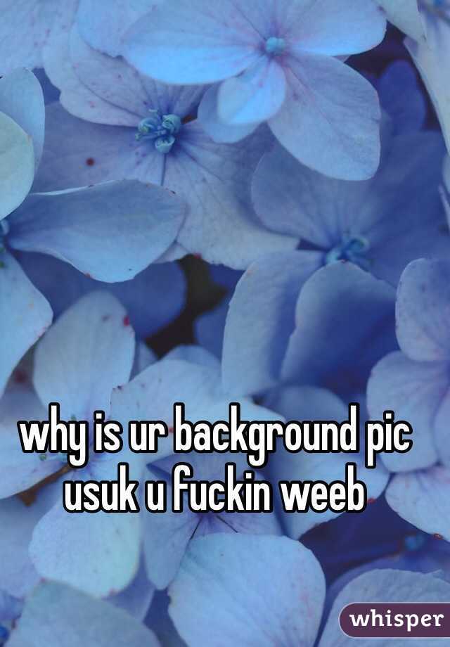 Why Is Ur Background Pic Usuk U Fuckin Weeb