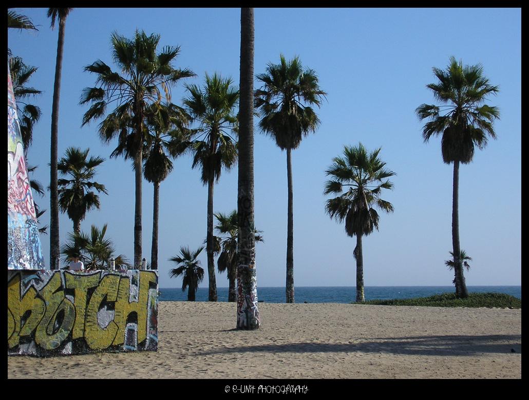 Venice Beach Ca By E Unit150387