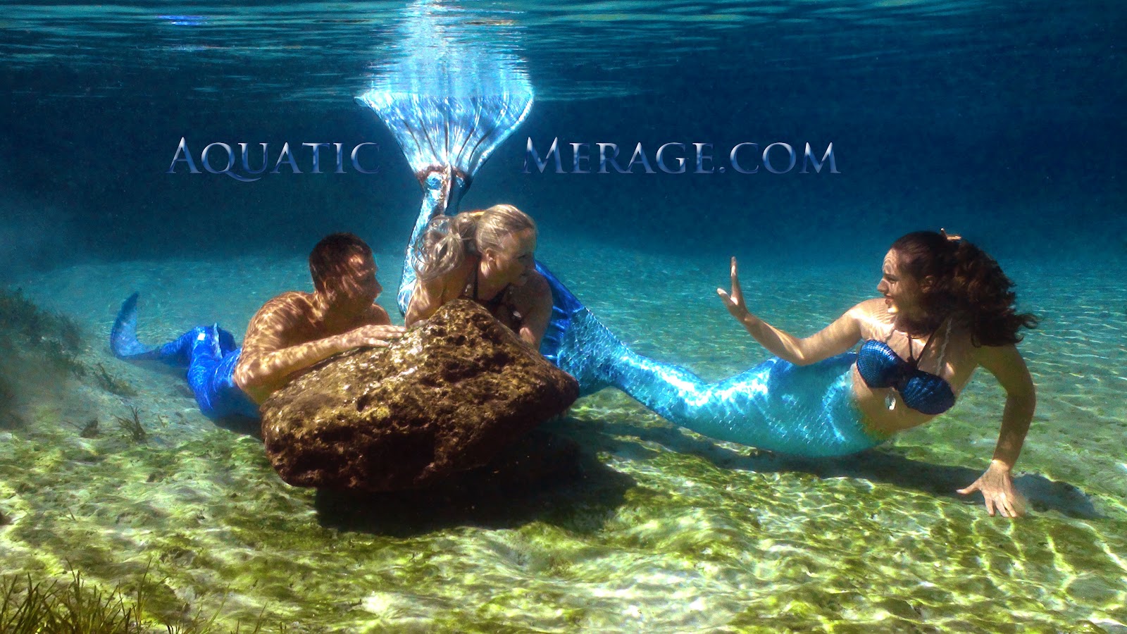 Real Mermaid Wallpaper Image Amp Pictures Becuo
