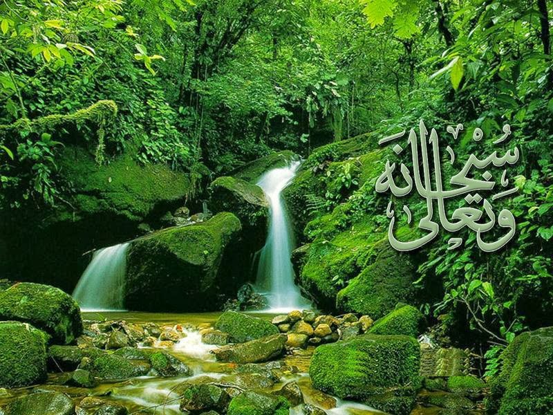 3D Beautiful Islamic Wallpapers Free Download Hd Wallpapers 2u Free
