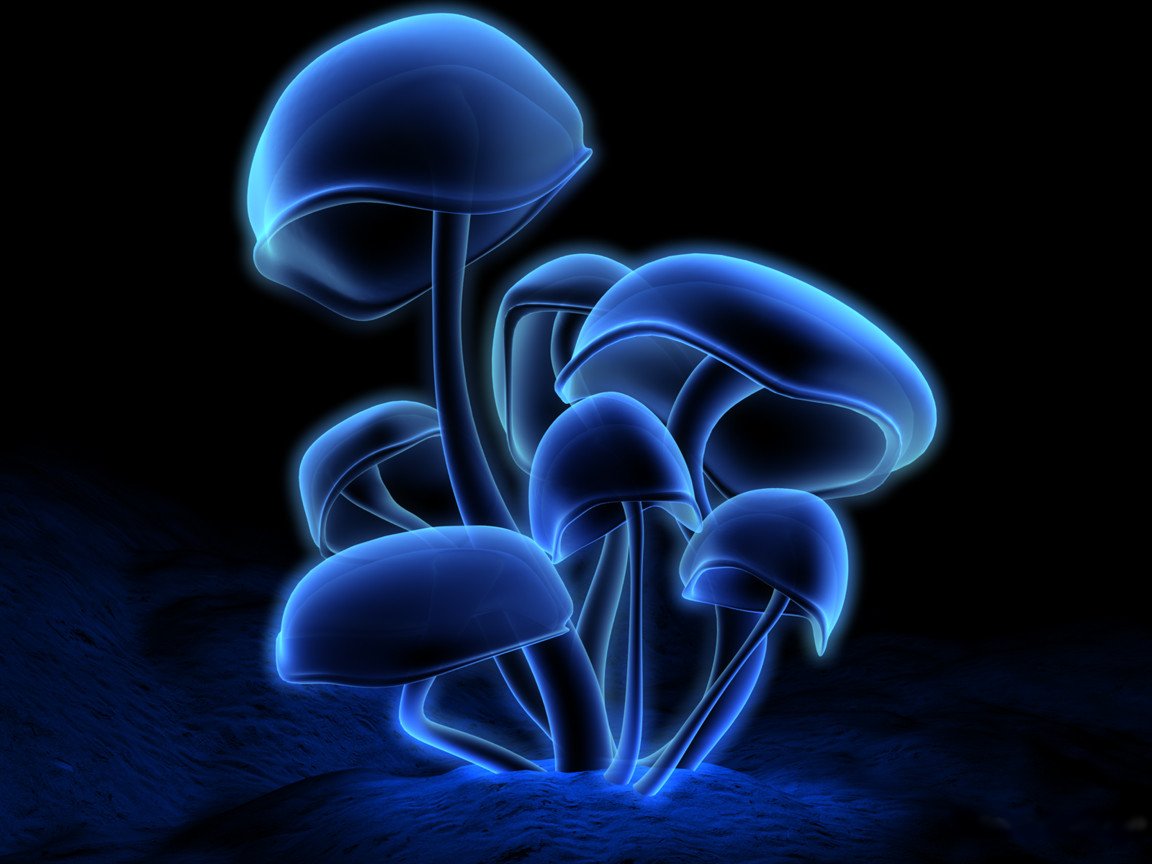Blue Neon Mushrooms