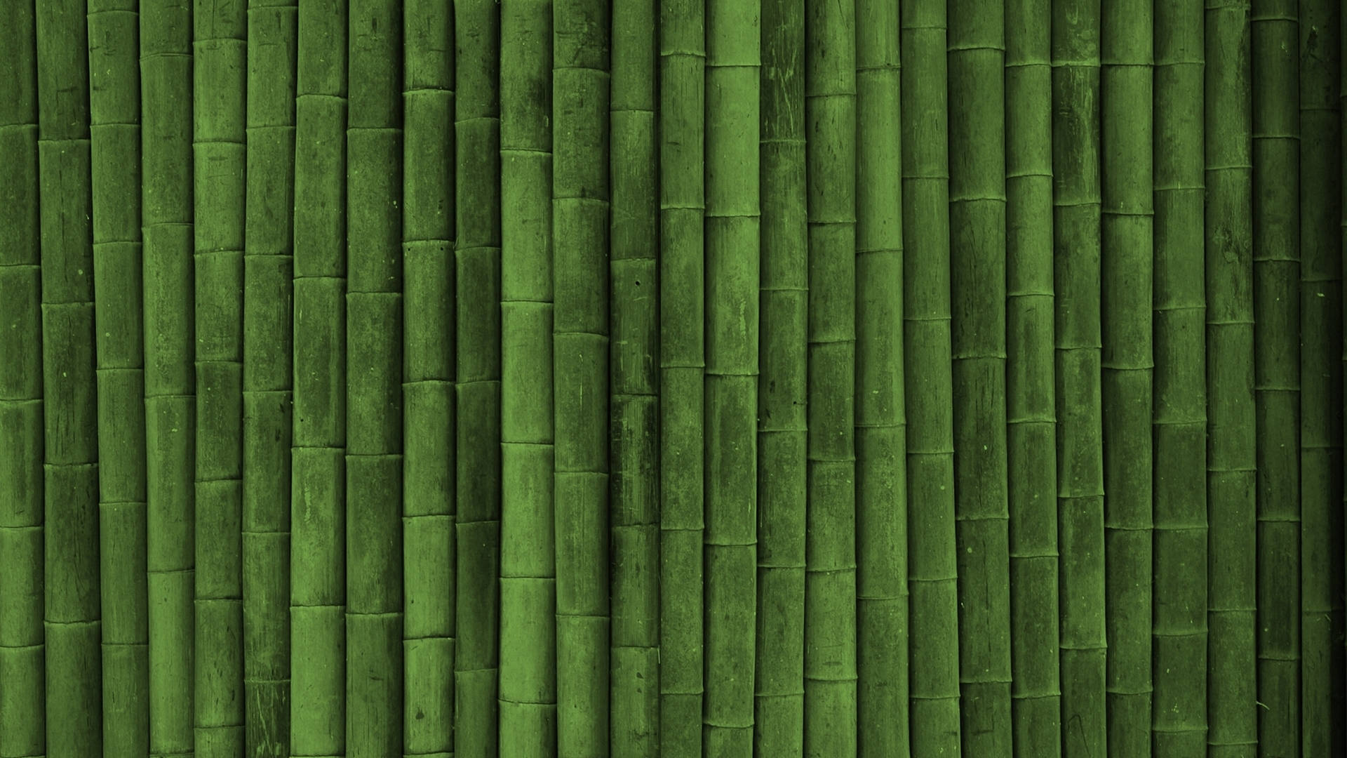 Bamboo HD Wallpaper