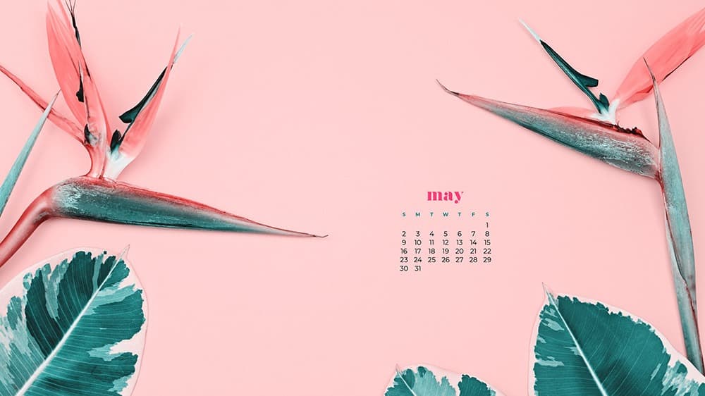 May Wallpaper Calendars Cute And Colorful Options