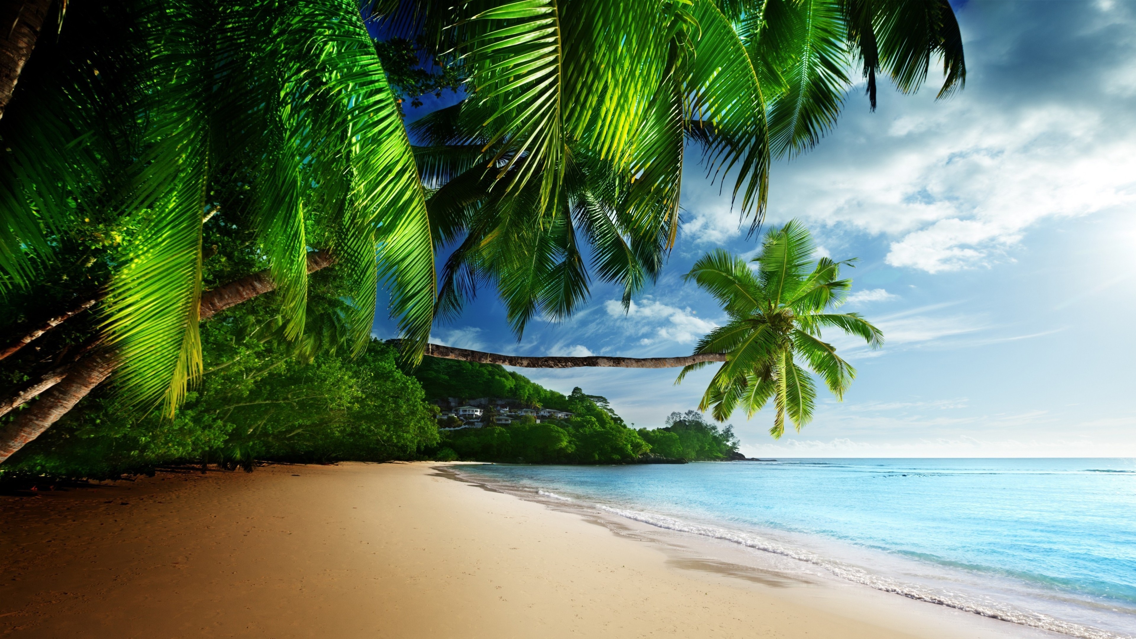 Seashore Beach Ocean And Sea 4k Ultra HD Wallpaper Background