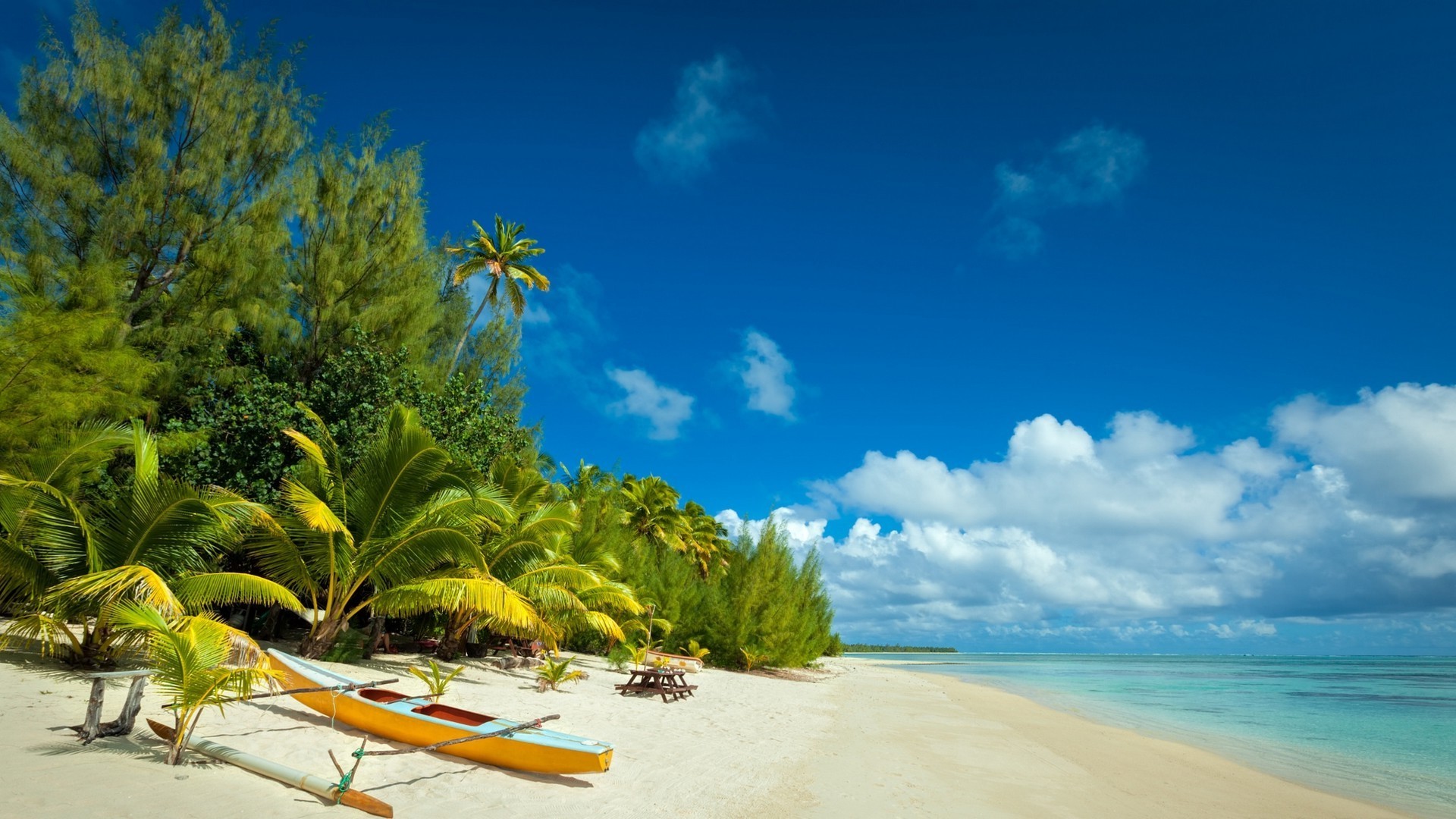Nature Landscape Beach Sunrise Palm Trees Sea Sand Tropical Caribbean Wallpaper