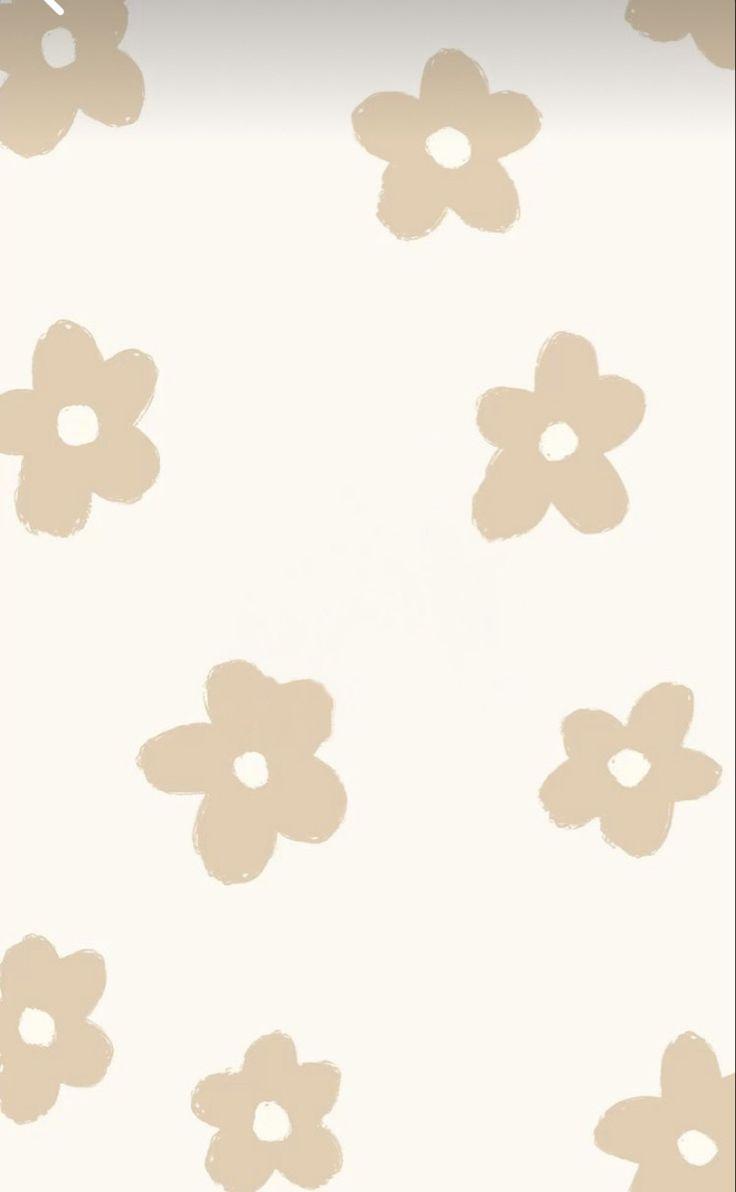 Cream Flowers Wallpaper iPhone Boho Phone