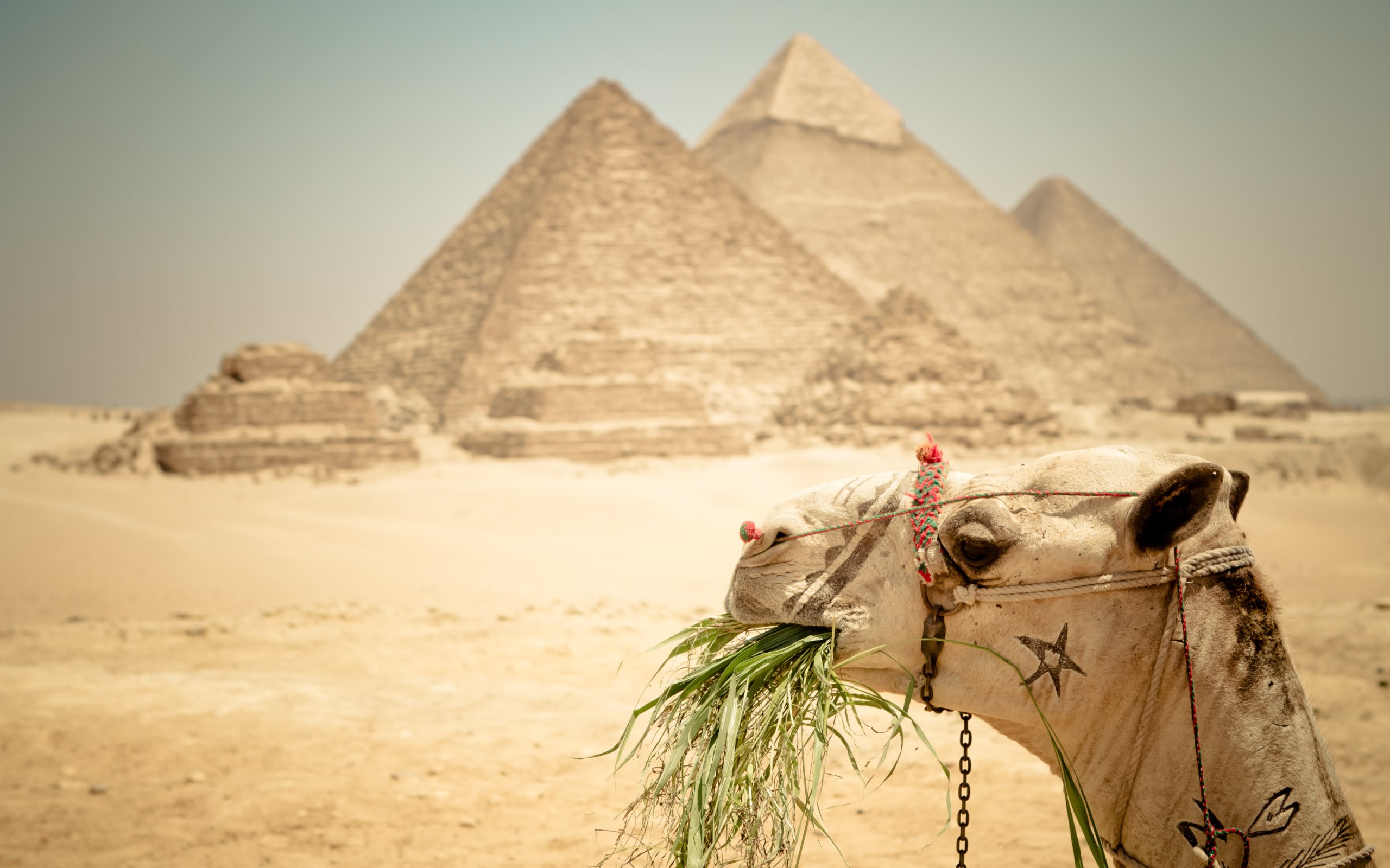Pyramids Of Egypt Wallpaper HD