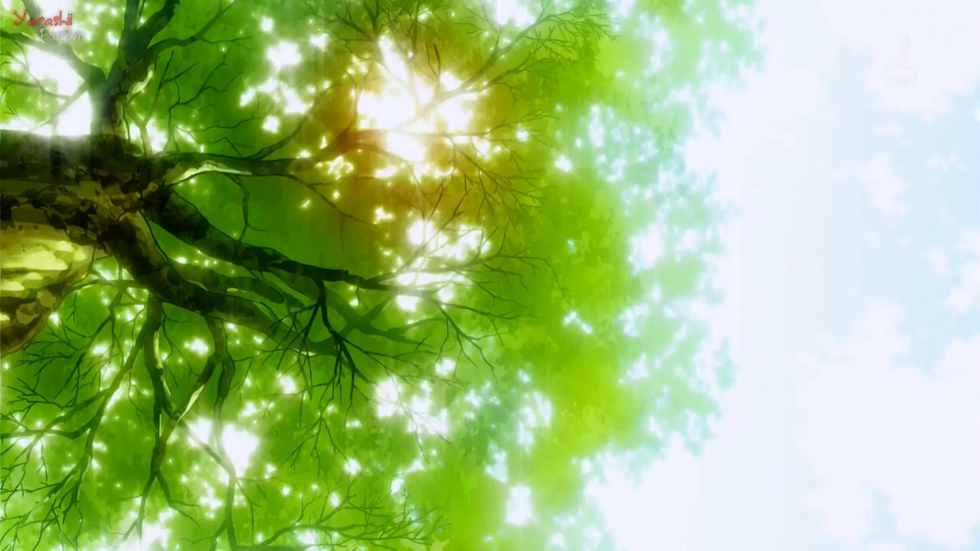 Green Anime Wallpaper Group