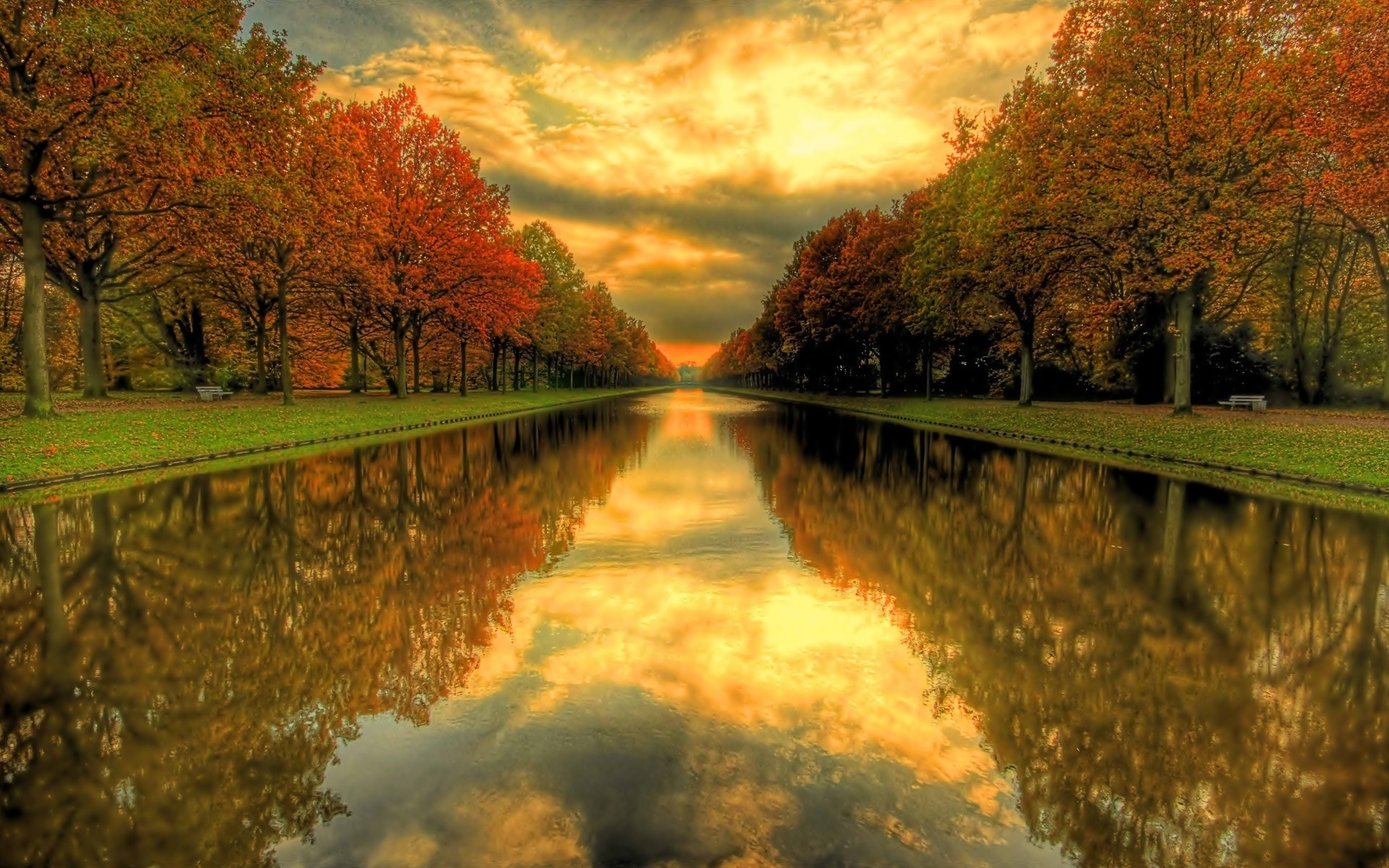 Wallpaperwa Natural Beauty