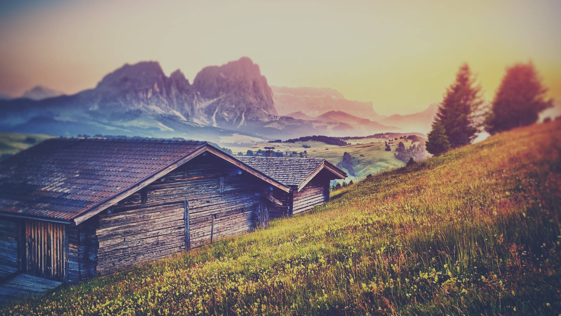 Wood House Wallpaper