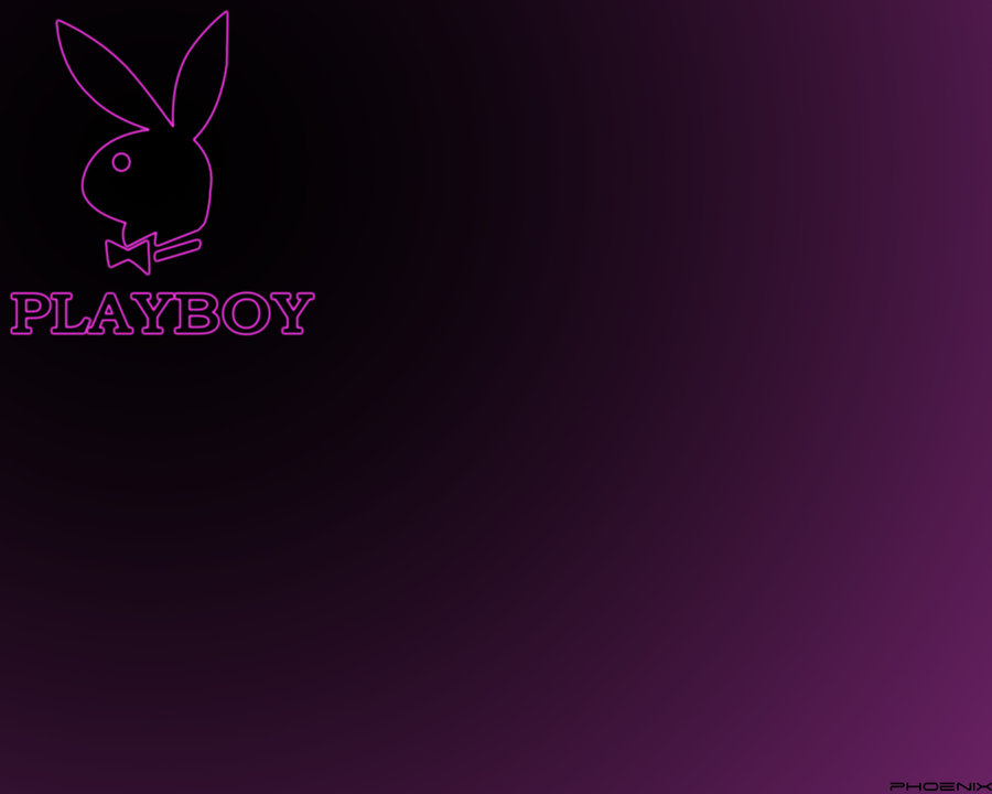 holly playboy bunny book