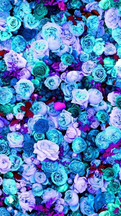 girly backgrounds 422x750
