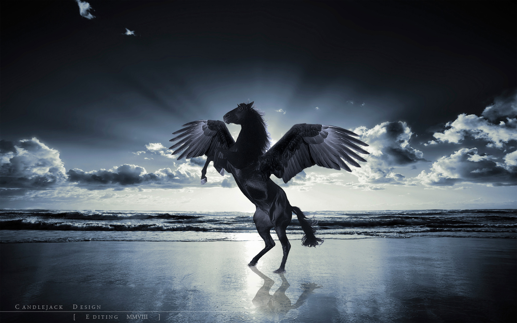 Unicorn Horse Magical Animal Pegasus Ocean Beach F Wallpaper