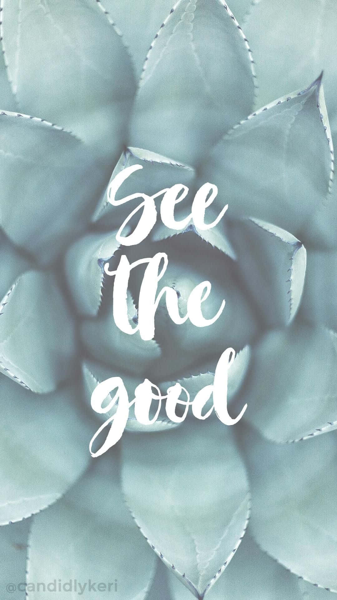 Succulent iPhone Wallpaper