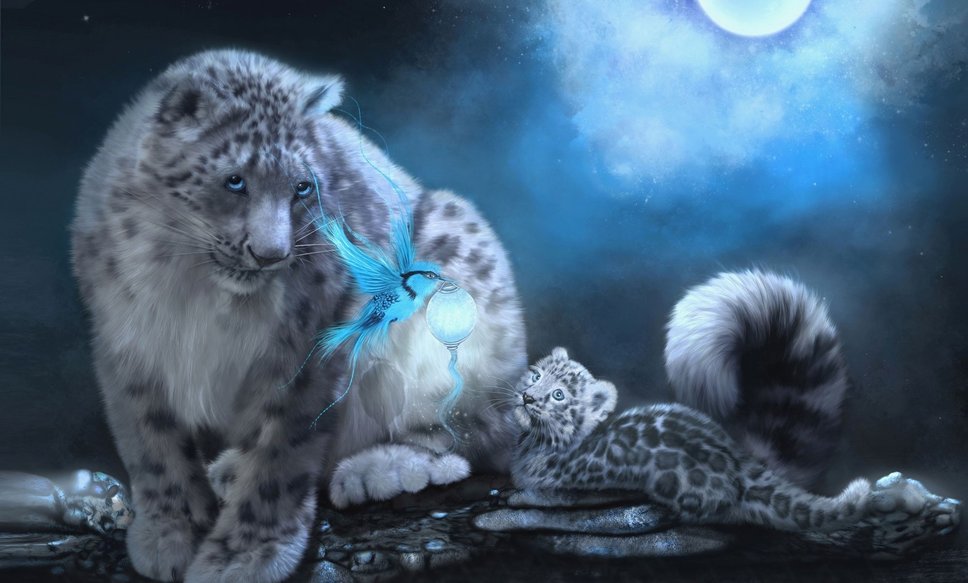 Snow Leopard With Blue Eyes Wallpaper Blue Snow Leopard Wallpaper