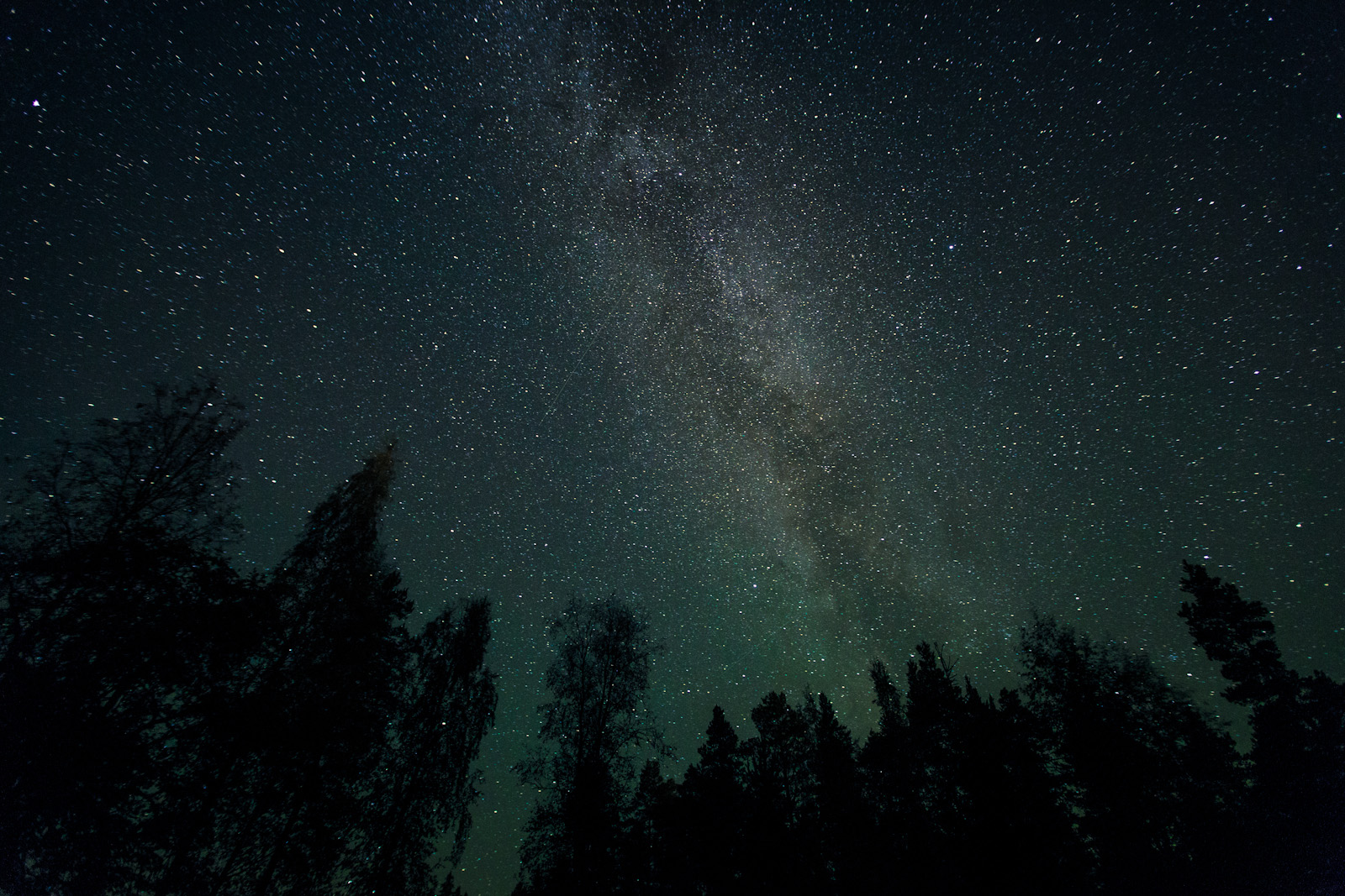 Galaxy Stars Milky Way Night Trees Space Wallpaper