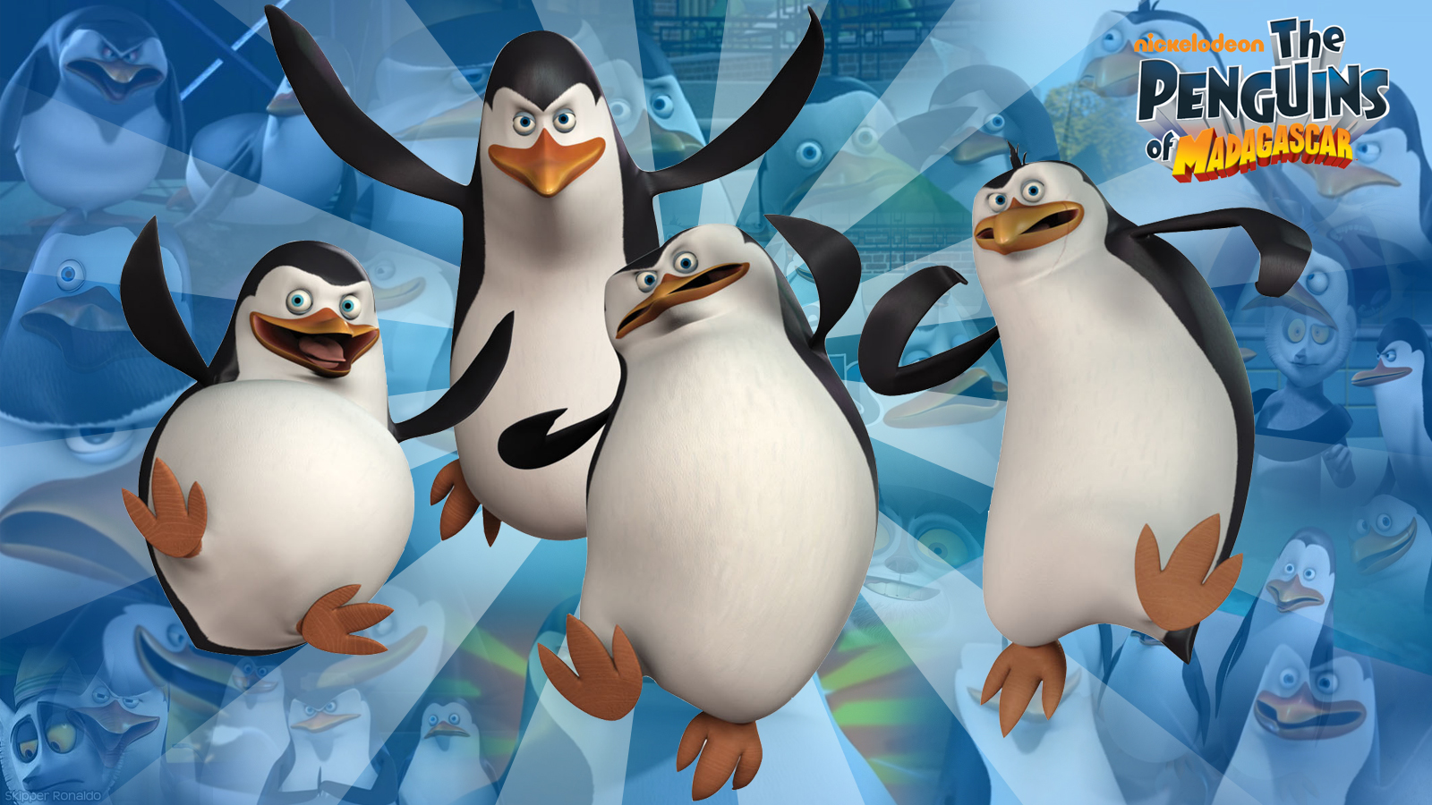 Pingouins Madagascar Wallpaper HD