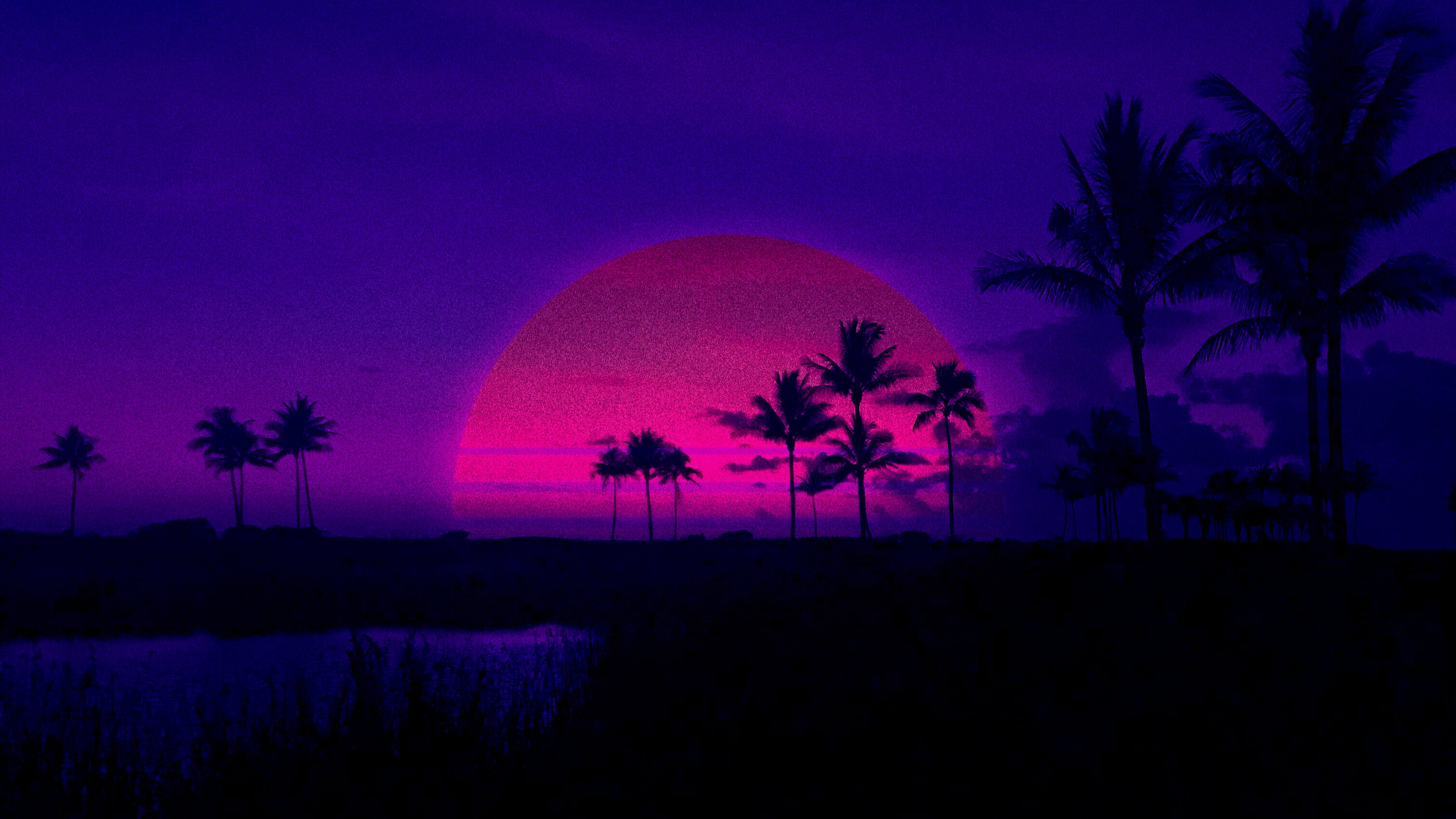Palm Trees Retrowave Purple Sunset HD Wallpaper