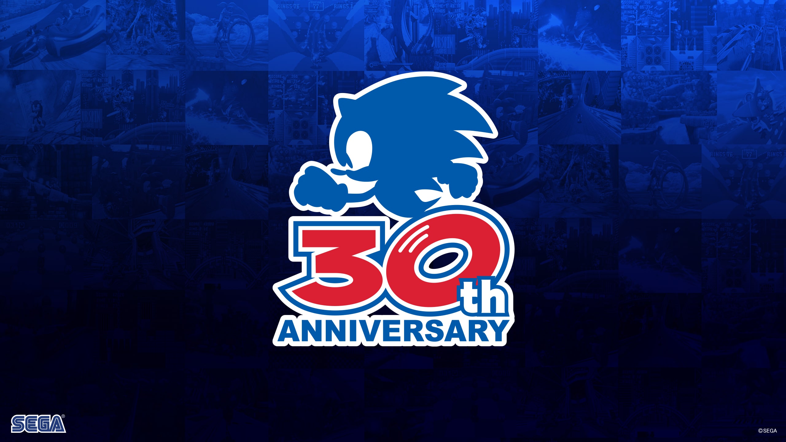 SEGA Sonic 30th Anniversary Site   Gallery
