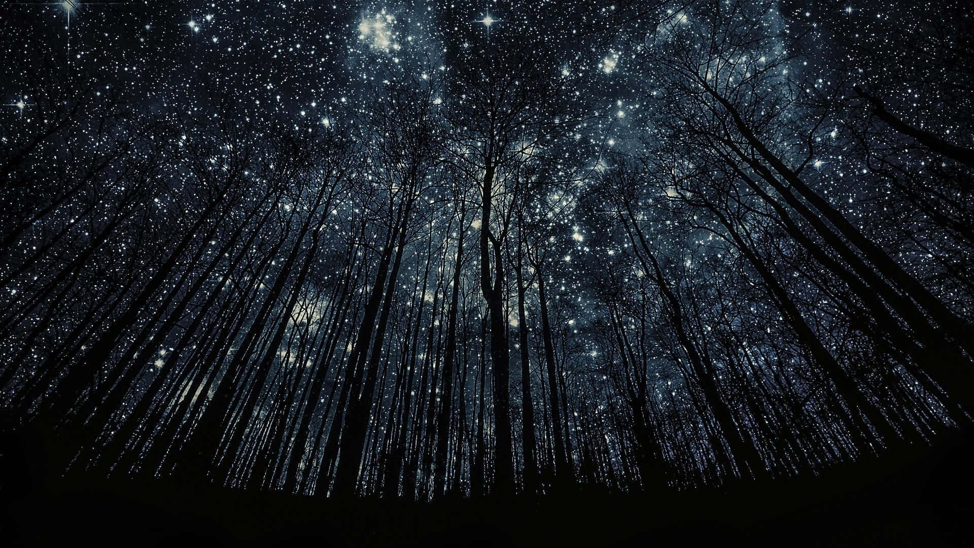 Night HD Desktop Wallpaper