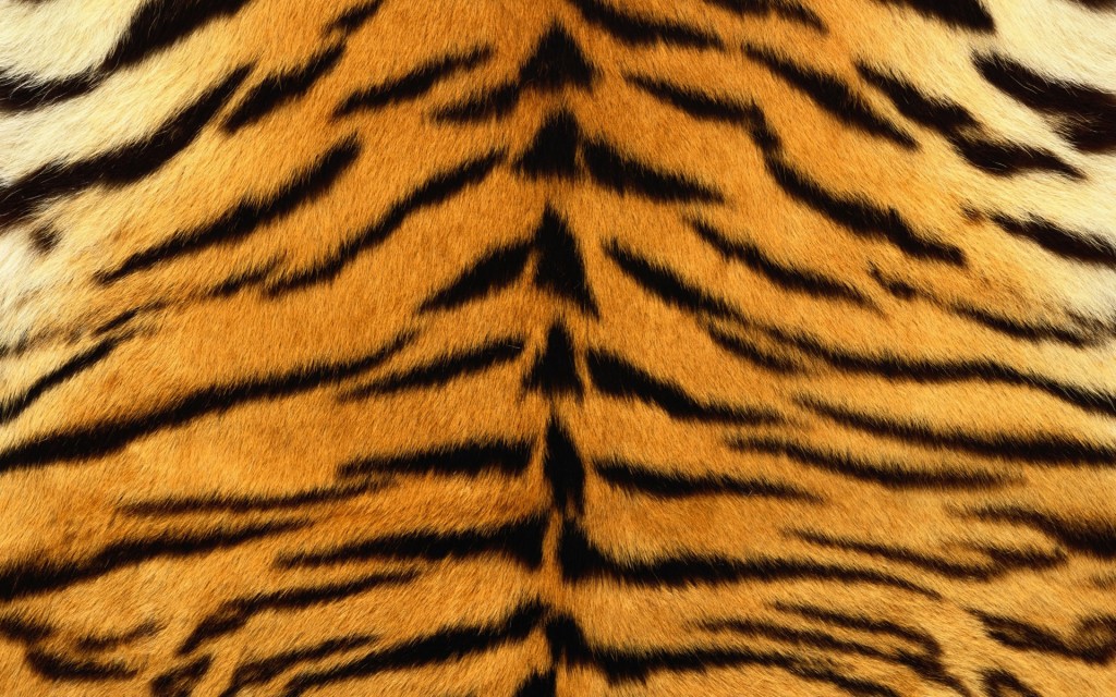 Textura Piel De Tigre Wallpaper