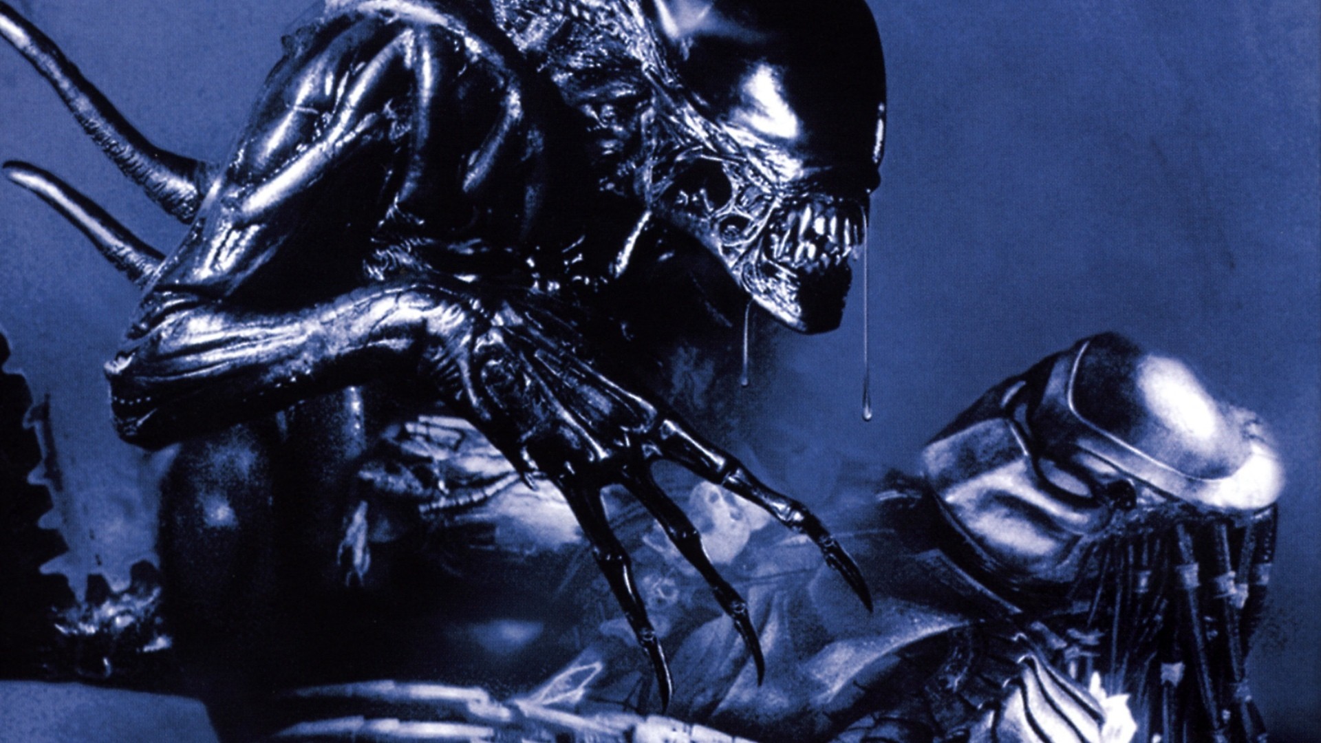 File Name Wallpaper Aliens Vs Predator