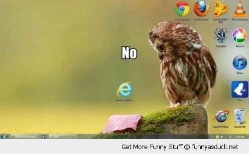 Inter Explorer Ie No Owl Bird Desktop Background Wallpaper Funny