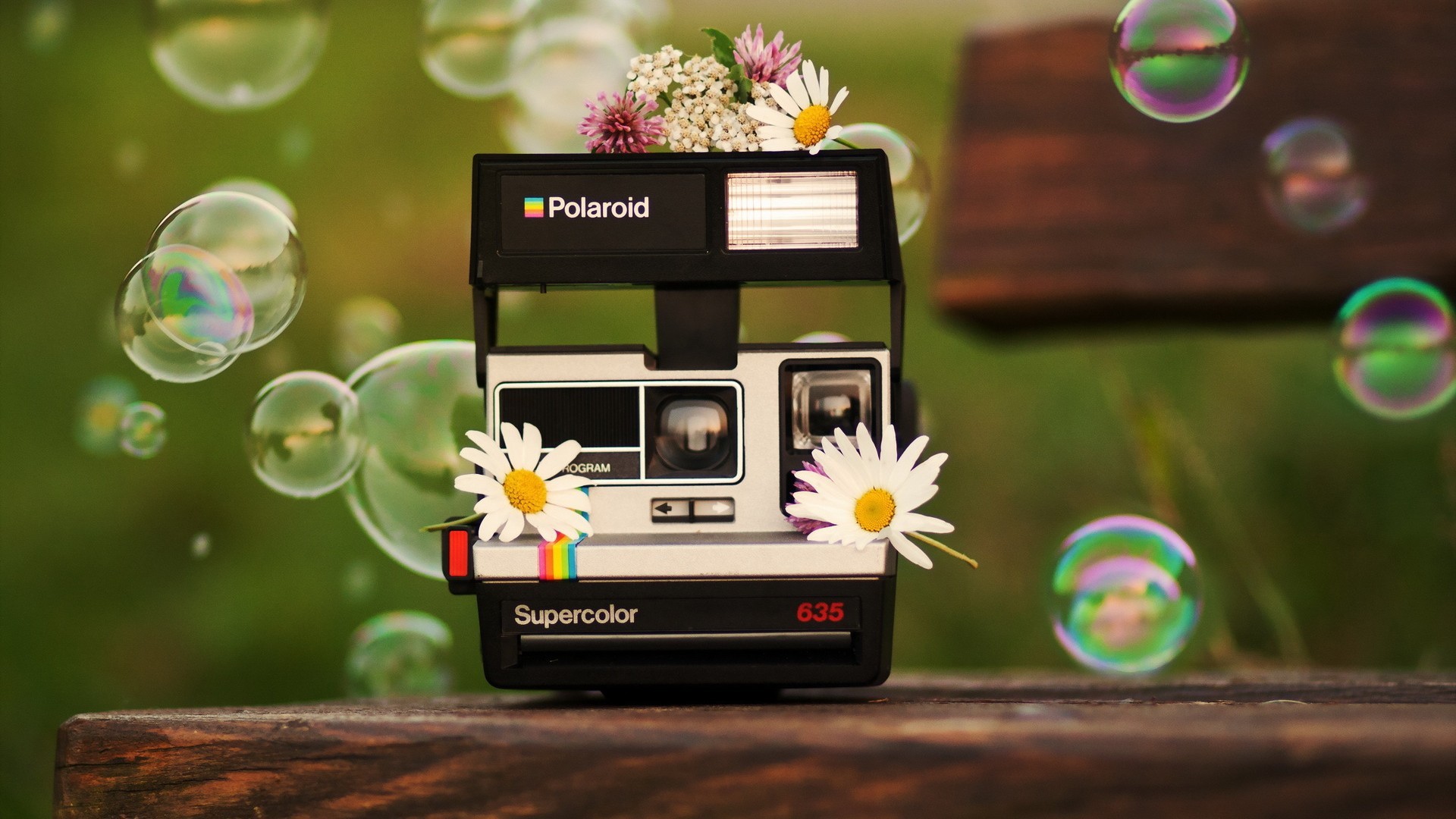 Flowers On Polaroid Camera Wallpaper And Image