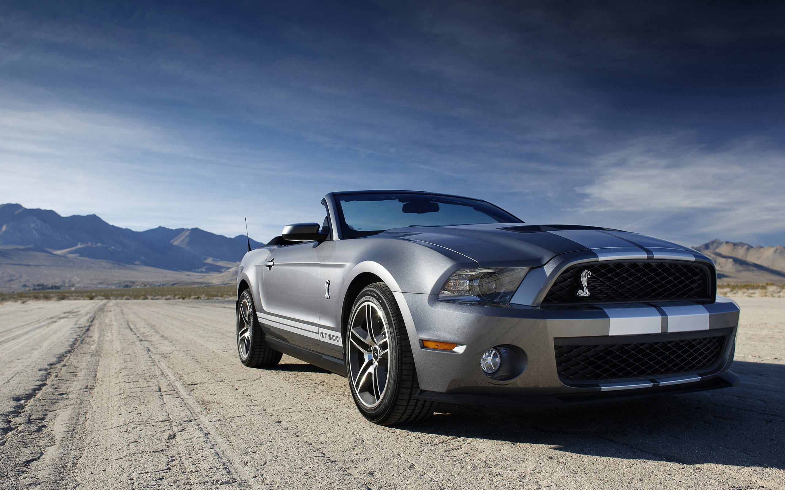 Ford Shelby Mustang Gt Wallpaper HD Car