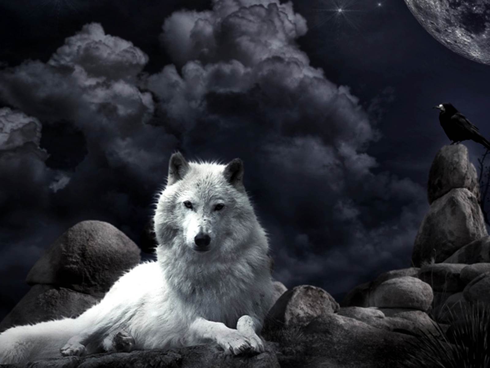 Wolf Wallpaper Fantasy White Wolf Fantasy Life Hd 4k