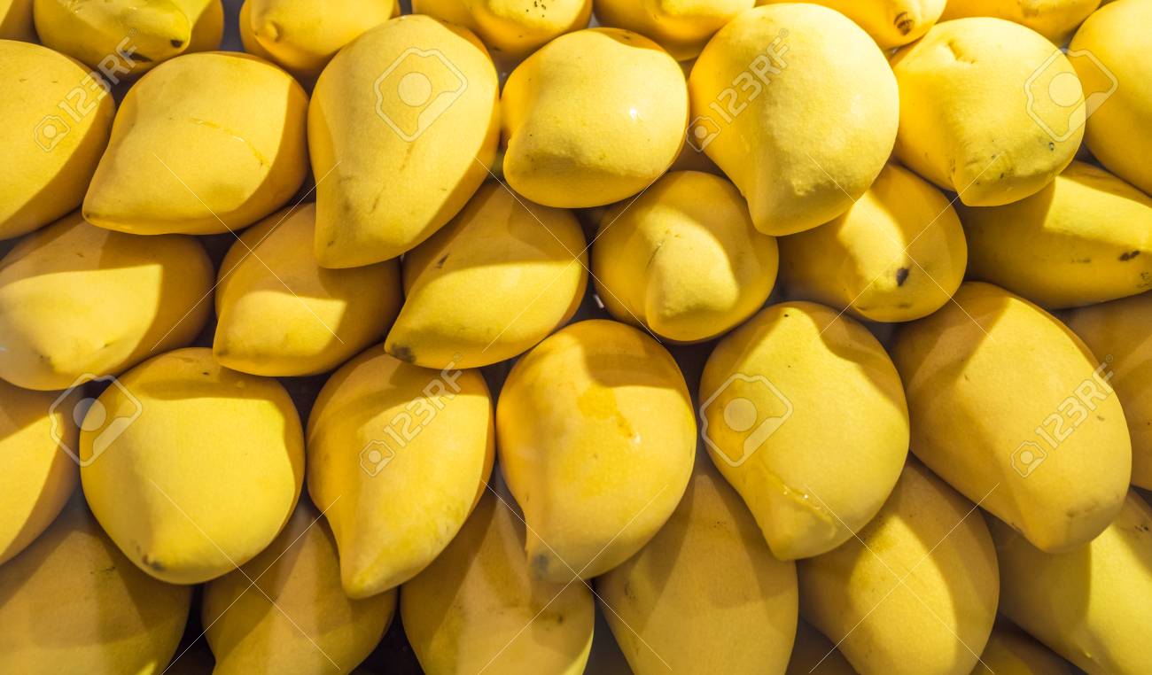 Yellow Mango Background Or Wallpaper Bunch Of Tropical Fruits