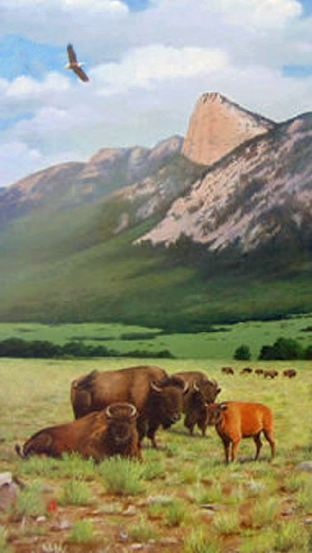 The Tooth Of Time At Philmont Scout Ranch Travel