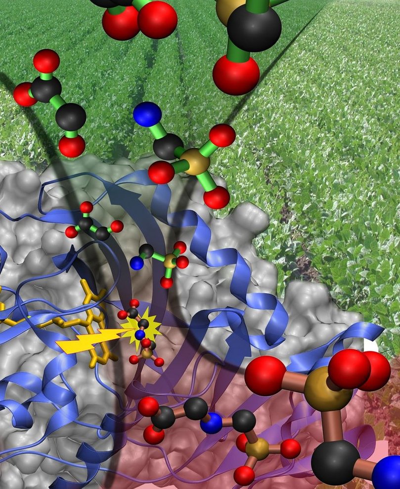 Biochemistry Wallpaper Pictures